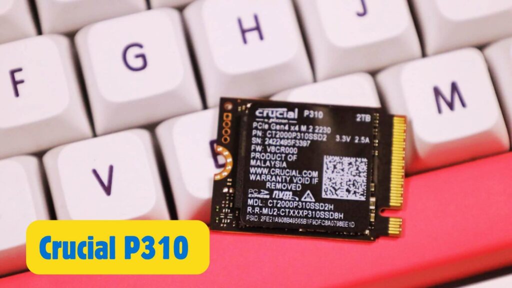 Crucial P310
